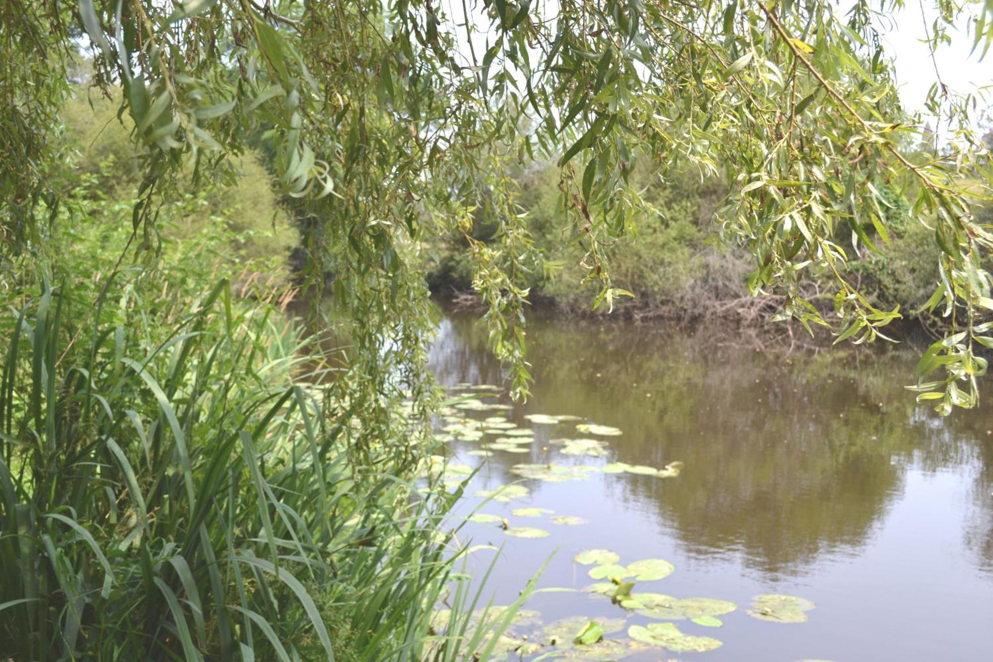Les Bruyeres B&B Montbron Buitenkant foto